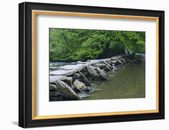 Tarr Steps, Medieval Clapper Bridge Crossing the River Barle, Exmoor National Park, Somerset, UK-Ross Hoddinott-Framed Photographic Print