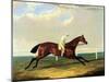 'tarrare' Ridden by George Nelson-John Frederick Herring I-Mounted Giclee Print