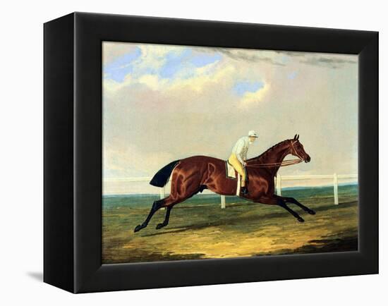 'tarrare' Ridden by George Nelson-John Frederick Herring I-Framed Premier Image Canvas