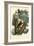 Tarsier, 1863-79-Raimundo Petraroja-Framed Giclee Print