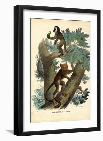 Tarsier, 1863-79-Raimundo Petraroja-Framed Giclee Print