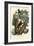 Tarsier, 1863-79-Raimundo Petraroja-Framed Giclee Print