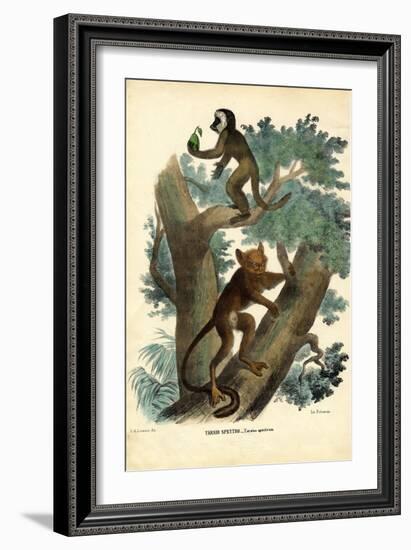 Tarsier, 1863-79-Raimundo Petraroja-Framed Giclee Print