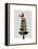 Tartan Tree Illustration-Fab Funky-Framed Stretched Canvas