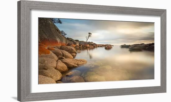 Tasmania, Australia. Binalong Bay, Bay of Fires at Sunrise-Matteo Colombo-Framed Photographic Print