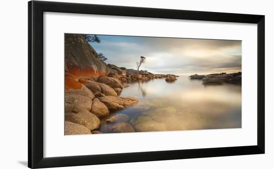 Tasmania, Australia. Binalong Bay, Bay of Fires at Sunrise-Matteo Colombo-Framed Photographic Print