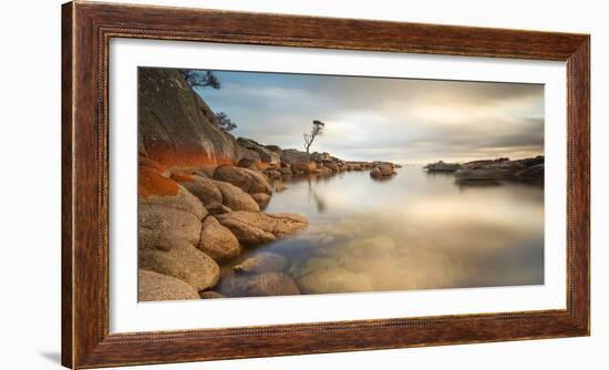 Tasmania, Australia. Binalong Bay, Bay of Fires at Sunrise-Matteo Colombo-Framed Photographic Print