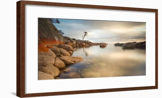 Tasmania, Australia. Binalong Bay, Bay of Fires at Sunrise-Matteo Colombo-Framed Photographic Print