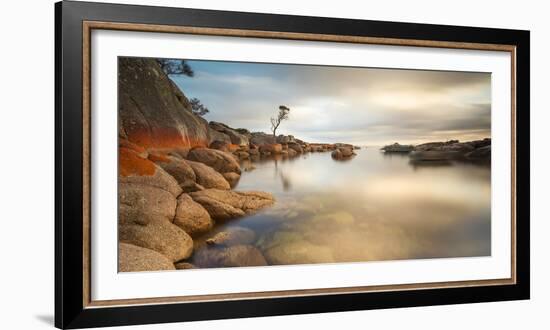 Tasmania, Australia. Binalong Bay, Bay of Fires at Sunrise-Matteo Colombo-Framed Photographic Print