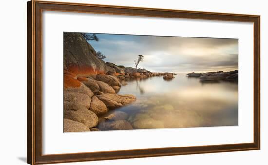 Tasmania, Australia. Binalong Bay, Bay of Fires at Sunrise-Matteo Colombo-Framed Photographic Print