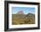 Tasmania, Cradle Mountain-Lake St Clair NP. Morning light on Barn Bluff and eucalyptus forest-Trish Drury-Framed Photographic Print