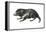 Tasmanian Devil (Sarcophilus Harrisii), Marsupial, Mammals-Encyclopaedia Britannica-Framed Stretched Canvas