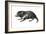 Tasmanian Devil (Sarcophilus Harrisii), Marsupial, Mammals-Encyclopaedia Britannica-Framed Art Print