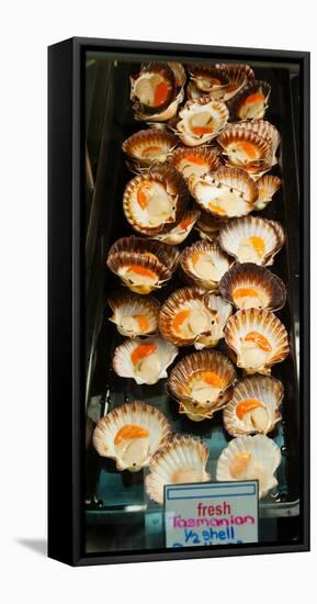 Tasmanian Oysters for Sell in the Central Market, Adelaide, South Australia, Australia-null-Framed Stretched Canvas