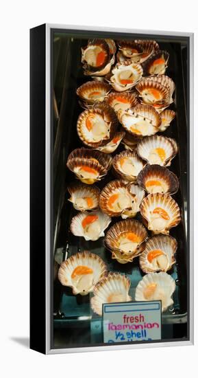 Tasmanian Oysters for Sell in the Central Market, Adelaide, South Australia, Australia-null-Framed Stretched Canvas