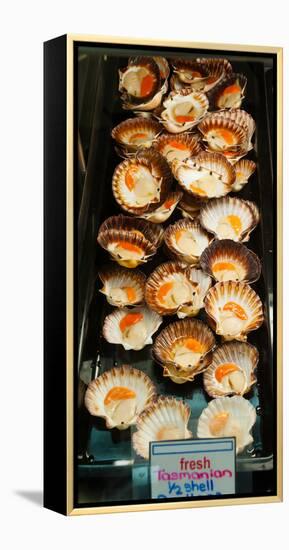 Tasmanian Oysters for Sell in the Central Market, Adelaide, South Australia, Australia-null-Framed Stretched Canvas