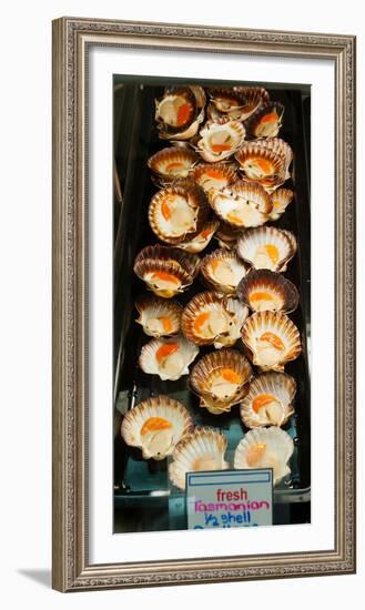 Tasmanian Oysters for Sell in the Central Market, Adelaide, South Australia, Australia-null-Framed Photographic Print