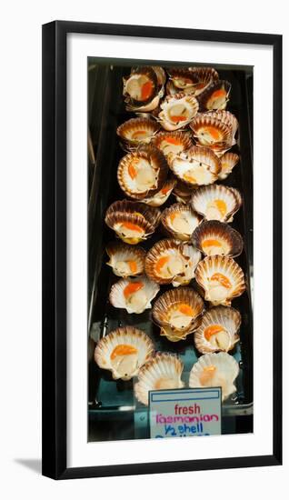 Tasmanian Oysters for Sell in the Central Market, Adelaide, South Australia, Australia-null-Framed Photographic Print