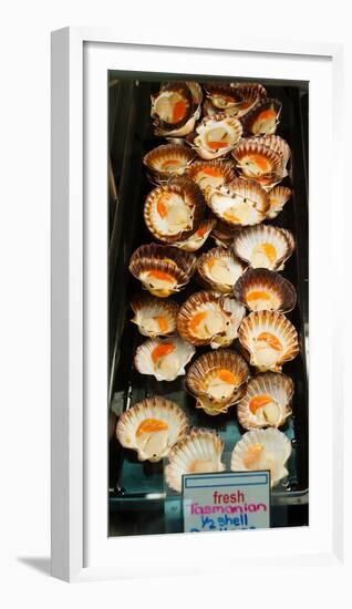 Tasmanian Oysters for Sell in the Central Market, Adelaide, South Australia, Australia-null-Framed Photographic Print