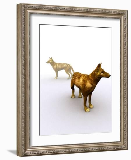 Tasmanian Wolf, Computer Artwork-Christian Darkin-Framed Photographic Print