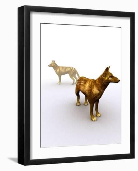 Tasmanian Wolf, Computer Artwork-Christian Darkin-Framed Photographic Print