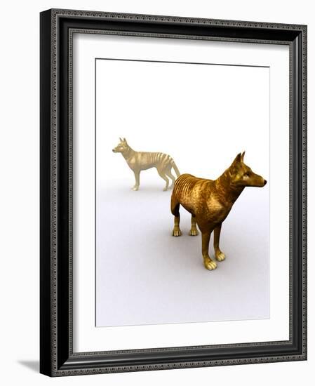 Tasmanian Wolf, Computer Artwork-Christian Darkin-Framed Photographic Print