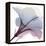 Tasty Grape Hibiscus 2-Albert Koetsier-Framed Stretched Canvas