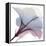 Tasty Grape Hibiscus 2-Albert Koetsier-Framed Stretched Canvas