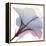 Tasty Grape Hibiscus 2-Albert Koetsier-Framed Stretched Canvas