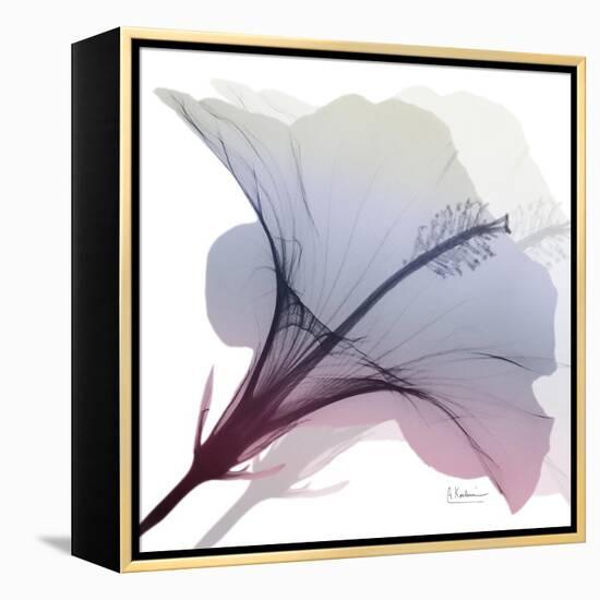 Tasty Grape Hibiscus 2-Albert Koetsier-Framed Stretched Canvas