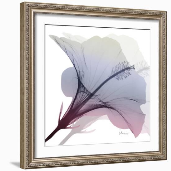 Tasty Grape Hibiscus 2-Albert Koetsier-Framed Art Print