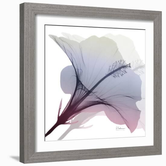 Tasty Grape Hibiscus 2-Albert Koetsier-Framed Art Print