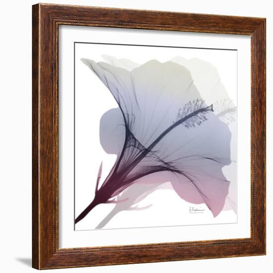 Tasty Grape Hibiscus 2-Albert Koetsier-Framed Art Print