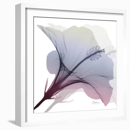 Tasty Grape Hibiscus 2-Albert Koetsier-Framed Art Print