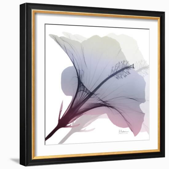 Tasty Grape Hibiscus 2-Albert Koetsier-Framed Art Print