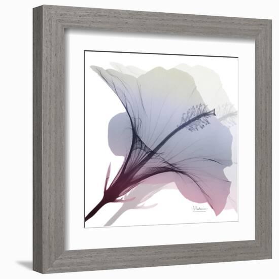 Tasty Grape Hibiscus 2-Albert Koetsier-Framed Art Print