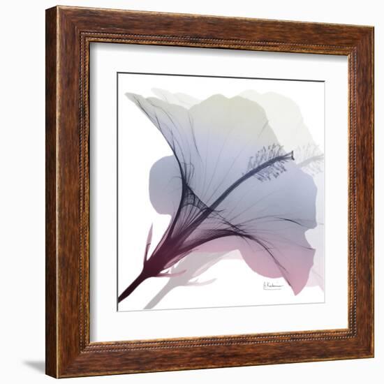 Tasty Grape Hibiscus 2-Albert Koetsier-Framed Art Print