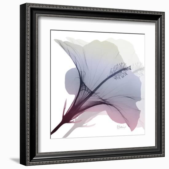 Tasty Grape Hibiscus 2-Albert Koetsier-Framed Art Print