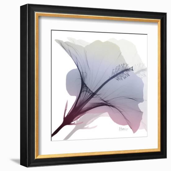 Tasty Grape Hibiscus 2-Albert Koetsier-Framed Art Print