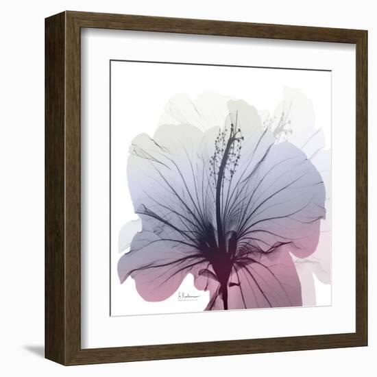 Tasty Grape Hibiscus-Albert Koetsier-Framed Art Print