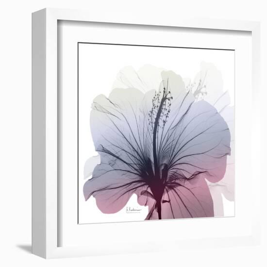 Tasty Grape Hibiscus-Albert Koetsier-Framed Art Print