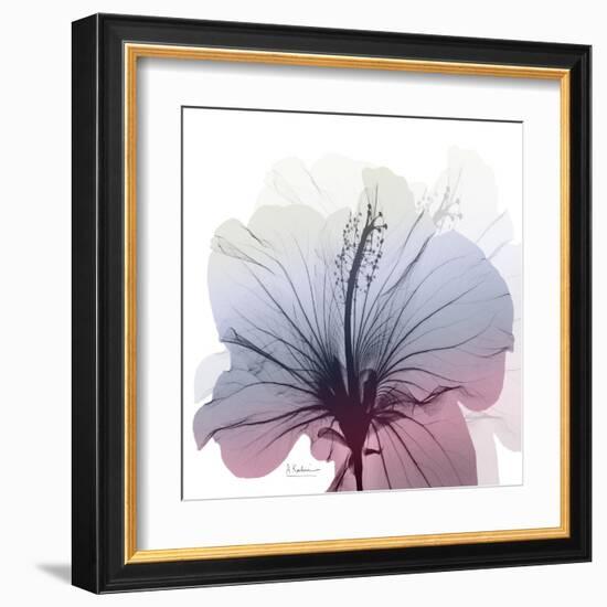 Tasty Grape Hibiscus-Albert Koetsier-Framed Art Print