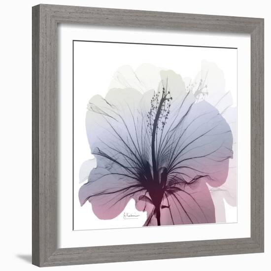 Tasty Grape Hibiscus-Albert Koetsier-Framed Art Print