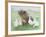 Tasty Morsel-Pat Scott-Framed Giclee Print