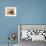 Tatanka-Julie Chapman-Framed Premium Giclee Print displayed on a wall