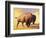 Tatanka-Julie Chapman-Framed Premium Giclee Print