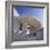 Tate Gallery, St. Ives, Cornwall, England, United Kingdom, Europe-Roy Rainford-Framed Photographic Print