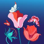 Beautiful Lotus Flower-Tatiana Korchemkina-Art Print