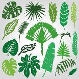 Tropical Palm Leaves,Branches Set.Silhouette,Green-Tatiana_Kost49-Mounted Art Print