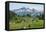 Tatoosh Range and Skyline Trail, Mount Rainier National Park, Washington State-Alan Majchrowicz-Framed Premier Image Canvas